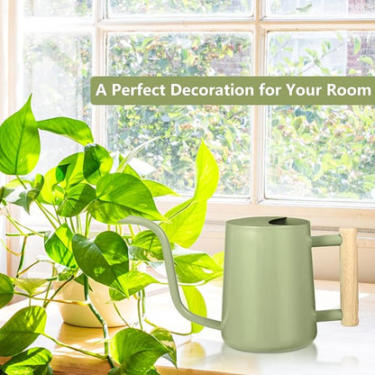 Watering Can Indoor Plants, 35oz Small Indoor Stainless Steel Metal Watering Can Modern Decorative Watering Pot with Long Spout for Indoor House Plant Bonsai Garden Flowers (Sage Green)