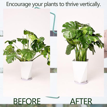 5PCS Monstera Plant Support Stem 9 x 7.6 in- Durable Stabilizer Set for Indoor Climbing Plants, Holders for Enhancing Growth, Ideal Gift for Plant Lovers, Fishbone Cactus Stake Garden Tool