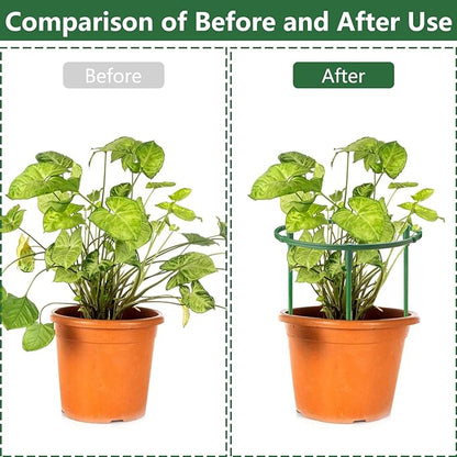 36Packs Plant Support Stake Half Round Plant Support for Indoor Plants, Stackable 3 Tier Garden Flower Support, Plant Rings for Tomato,Monstera, Peony, Hydrangea, Climbing Plants