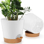8-Inch Plant Pots, Self-Watering Planters with Drainage Holes & Saucers for Indoor and Outdoor Plants (2-Pack, White)