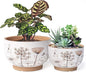YBX 8 Inch + 6 Inch Ceramic Plant Pots, Succulent Flower Pots with Drainage Holes, Terracotta Planters for Indoor Plants, White&Terracotta (Garden)