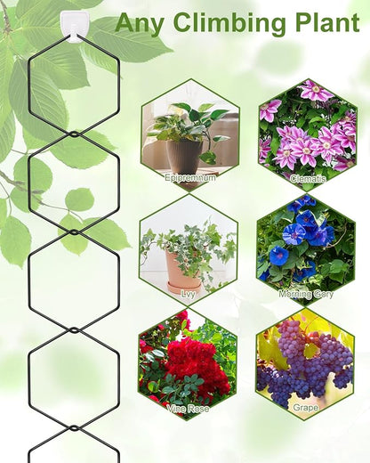 18 Pcs Garden Chain Trellis for Indoor Climbing Plants, Unique 6-Corner Plant Accessory with Hooks and Ties, Wall Trellis Plant Support for Hoyas, Ivy, Monstera Outdoor (Black)