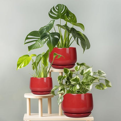 G EPGardening Ceramic Pot for Plants - 6 Inch Plant Pot with Drainage and Ceramic Tray, Modern Living Room Decor, Planter for Housewarming Gifts New Home, Red