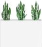 Heavy-Duty Galvanized Steel Planter with Removable Insert Shelf & 4 Drainage Holes - 32x12x24 Inches Large Size Outdoor/Indoor Garden Pot, White