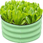 SnugNiture 2x2x1ft Round Galvanized Raised Garden Bed Kit Outdoor, Metal Planter Box for Planting Plants Vegetables, Green