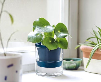 D'vine Dev 4 Inch Design Self Watering Planter for Indoor Plants, Blue Terracotta Pot with Cylinder Glass Cup, 37-X-A-4