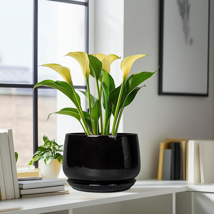 G EPGardening Ceramic Plant Pots - 9 Inch Round Planter, Ceramic Pots for Plants with Drainage and Tray, Flower Indoor Outdoor Planter, Modern Desk Decor, Plant Lover Gifts, Black