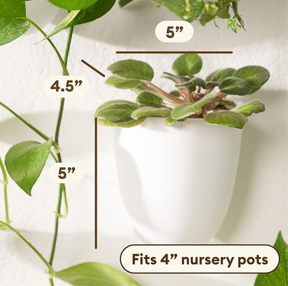 PlantPod Classic - Self-Watering Wall Planters (6, White) - Easy to Water and Install - Lightweight - Design Your Own Vertical Garden - Wall Planters for Indoor Plants