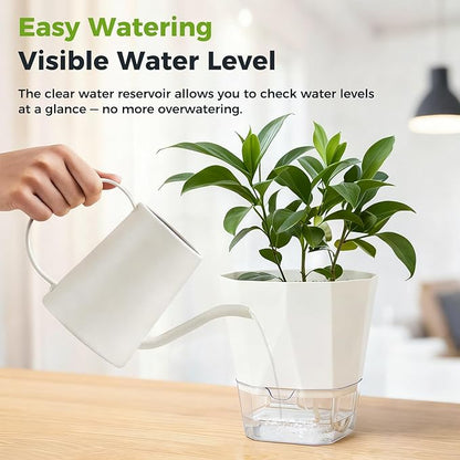 6 Pack Self Watering Plant Pots 6 Inches Self-Watering Planters for Indoor and Outdoor Plants African Violet Succulent Pots Clear Pot for Plants Large Herb Orchid Flower Houseplant Plant, White