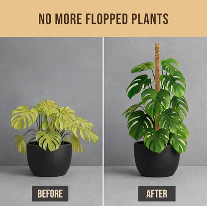 Moss Pole Monstera Plant Support – 2 Pack 28” Bendable Moss Pole Monstera Plant Support, Plant Stakes for Indoor Plants, Tall Plant Sticks Support for Climbing Plants