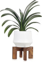 Plant Stand, Indoor/Outdoor Wood Plant Holder, Single Flower Pot Stand, Sturdy Planter Stands (Walnut, Fit 5-9 Inch Pots)