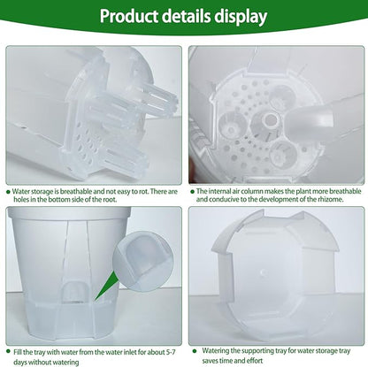 Cdd's Path 6-Pack Bare Root Planter Self Watering Pots Set with Holes for Indoor/Outdoor Plants, 2 Each of 5, 6 and 7 Inch Planter Pot with Watering Hole/Reservoir and Air Pipes, Clear