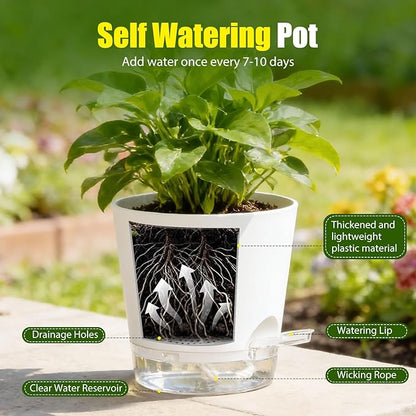 Plant Pots 8 Inch Self Watering Pots, 2 Pack Plastic Planters with Drainage Holes and Clear Saucers,Plastic Flower Pots for Indoor Out Door Plants(White)