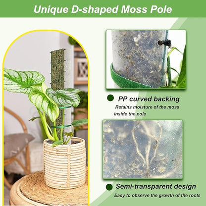 60" Metal Moss Pole, D Shape Sphagnum Moss Pole, Moss Poles for Climbing Plants, Monstera, Indoor Climbing Plants (6Pcs 60")