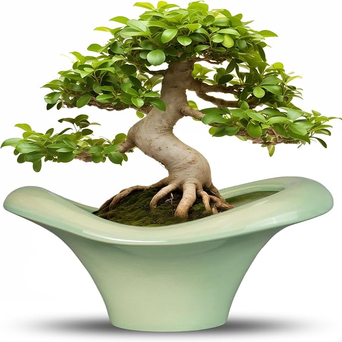 Ceramic Bonsai Pots - Large Succulent Planter 13 Inch Plant Pot Indoor Succulent Pot with Drainage Hole Outdoor Planter Bonsai Tree Pot for House Home Garden Office Decor Green