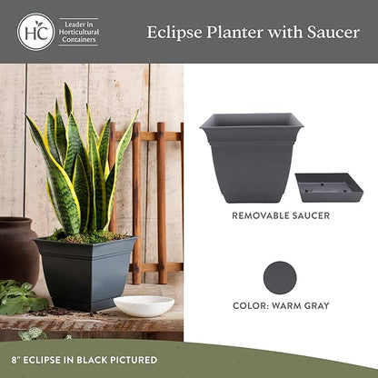 The HC Companies Eclipse Square Plastic Planter w/ Attached Saucer - Outdoor & Indoor Plant Pot with Drainage Holes - Lightweight, UV-Resistant Plastic Pots For Plants (8" Warm Gray, Pack of 1)