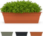 Bloem Dura Cotta 18" Terra Cotta Resin Rectangle Window Box Planter with Saucer Tray for Indoor and Outdoor Gardening