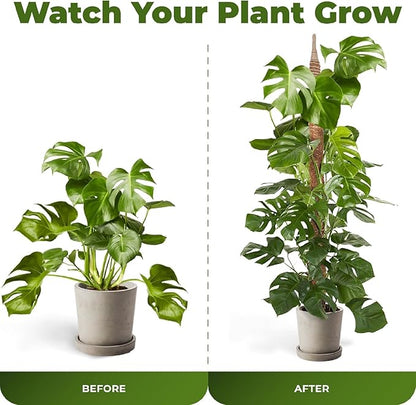 2 Pack 63 Inch Bendable Moss Pole Monstera Plant Support Stakes for Indoor Plants - Tall Moss Stick Trellis for Potted Climbers - Stem Support Accessories for Climbing Houseplants