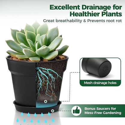 T4U 6 Inch Plant Pot 8-Pack, Plastic Planter with Drainage Hole and Saucer, Decorative Nursery Pots Bulk for African Violet, Snake Plant, Succulent, Herb and Plants Indoor (8 Pcs 6" Pots, Black)