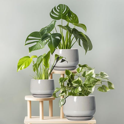 G EPGardening Ceramic Pots for Plants - 6 Inch Plant Pot with Drainage and Ceramic Tray, Modern Succulent Pots, Round Planters for Indoor Plants, Living Room Decor, Gifts for Plant Lovers, Light Grey