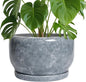 SQOWL Ceramic Pot for Plants - 10 Inch Plant Pot Indoor with Drainage Hole and Saucer, Round Ceramic Planter, Decorative Large Flower Pot Outdoor, Home Office Room Decor, Garden Gifts, Gray