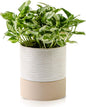 Nihow Self Watering Plant Pot: 6 Inch Ceramic Planter with Drainage Hole & Water Storage Plus for Indoor & Outdoor Plants - Cylinder Round Flower Pot for Succulent/Herbs/Violets - Cream White & Brown
