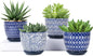 Selamica Ceramic Plant Pots, 4.6 Inch Flower Pots for Indoor Plants, Succulent Pots with Drainage Hole & Saucer, Succulent Planters for Succulent Cactus, Home Decor, Set of 4, Vintage Blue