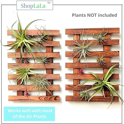 ShopLaLa Wall Planter - 2 Pack Wooden Orchid Planter Frame Display Outdoor Plants, Wall Mount Air Plants Succulent Holder Hanger, Vertical Garden Plant Wall Decor Macetas para Orquideas 15.7" (40cm)