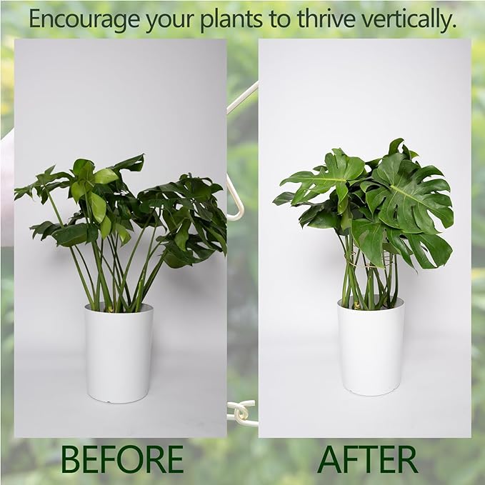 5PCS Durable Monstera Plant Stem Support Stake with Adjustable Leaf Holders - Plant Support Kit for Indoor Botanicals, Cactus Stabilizers, and Turtle Shell Climbers - Ideal for Plant Enthusiasts