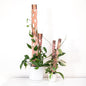 Treleaf Zella Grande Extension Kit - Wooden Extendable Plant Trellis for Indoor Climbing Houseplants - Modular Plant Support
