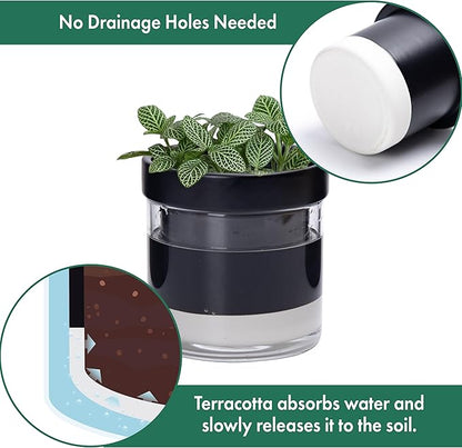 Phoenix Vine 4 Inch Self Watering Planter Pot, Black Terracotta Clay Pot with Glass Reservoir for Indoor Plants, Herbs, Flowers, Set of 3, 52-C-E-3