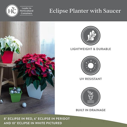 The HC Companies Eclipse Square Plastic Planter w/ Attached Saucer - Outdoor & Indoor Plant Pot with Drainage Holes - Lightweight, UV-Resistant Plastic Pots For Plants (12" Cottage Stone, Pack of 1)
