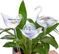 NiHome Glass Plant Self Watering Bulbs 3-Pack Iridescent Pearl Home Potted Planter Watering Bulbs Insert Decorative Devices Vacation Automatic Watering Spikes Indoor and Outdoor (Swan, Snail & Bird)