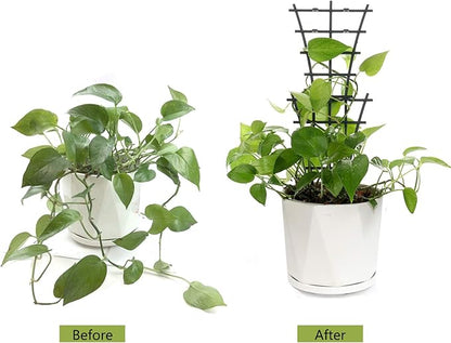 Plant Trellis Indoor, 6Pcs Stackable Plant Trellis for Climbing Plants Indoor, Small Plant Climbing Trellis for Potted Plants Plastic Climbing Plant Support Trellis for Houseplant Hoya Pothos