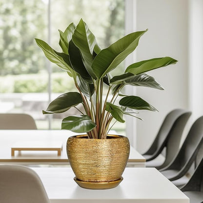 Indoor Plant Pot 6 Inch - Ceramic Pot for Plants Outdoor Planter with Drainage Hole and Saucer Round Decorative Planter Modern Flower Pot for Home Decor Gold