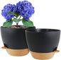 10 inch Self Watering Pots, 2 Pack Plastic Planters with Mesh Drainage Holes for Garden Plants and Flower, Plants Pots with Deep Reservoir for Indoor Outdoor Plants, Black with Brown