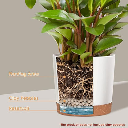 kubvici Plant Pots for Indoor Plants, 2 Pack 12 Inch Pots for Plants, Lightweight Large White Planters for Indoor Outdoor, Big Plastic Plant Pot Flower Pot with Drainage (12” White)