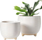 LE TAUCI Ceramic Plant Pots, 5.1 + 6.4 Inch Footed Pots for Plants, Modern Flower Pots for Home and Office, Indoor Planters with Drainage, Reactive Glaze White