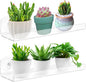 2 Pack 12 Inch Acrylic Window Boxes Plant Shelves, with Suction Cup Window Sill Extender, for Indoor/Outdoor Succulents, Micro Greens, Seed Starter Pots, Herb Planters