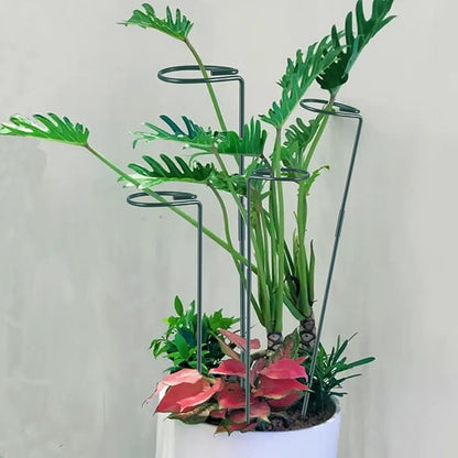 Plant Stake Support - 6 Pack Adjustable Height 12" or 24", Garden Support Stake Plant Cage Support Rings, Single Stem Plant Support Stakes, for Flowers Amaryllis Tomatoes Peony Lily Rose (24inch)