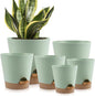 Indoor Self Watering Planters with Drainage Holes and Saucers, 8, 7, 6.5, 6, 5.5, 5 Inches, Green, 6 Pots.
