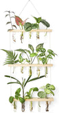 Mkono 3 Tiered Wall Hanging Plant Terrarium with Wooden Stand, Glass Planter for Hydroponic Plant Cutting, Home Garden Office Decor, Gift