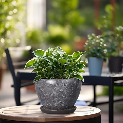Ceramic Planter - 6 Inch Plant Pot with Drainage Hole and Saucer, Succulent Pot Glaze Round Flower Pot for Indoor Outdoor Plants, Gray