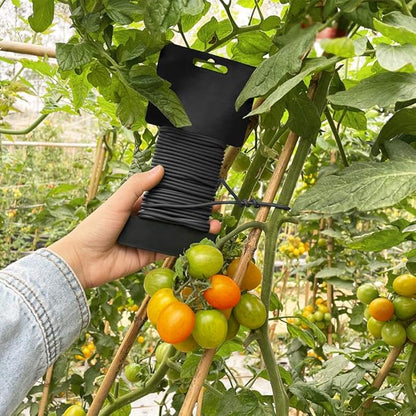 Tenn Well Garden Wire, 66 Feet 2.8mm Bendable Garden Plant Ties for Climbing Plants, Tomatoes, Climbing Roses, Trellises (2PCS X 33 Feet, Black)