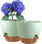 10 inch Self Watering Pots, 2 Pack Plastic Planters with Mesh Drainage Holes for Garden Plants and Flower, Plants Pots with Deep Reservoir for Indoor Outdoor Plants, Green with Brown