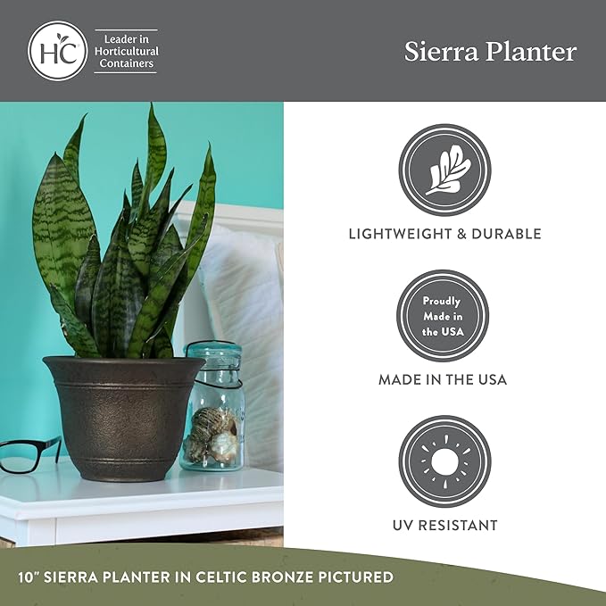 The HC Companies Sierra Round Self-Watering Pot - Lightweight Plastic Planter for Herbs & More - Durable Plant Pots for Indoor Plants & Outdoor Plants (10” Black Onyx, Pack of 1)