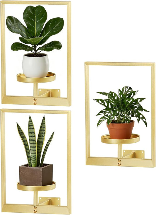 Wall Hanging Plant Stands Planter Shelves, Indoor Outdoor Window Plant Hanger Decor for Living Room Entryway (Gold 3-Pack)