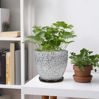 Ceramic Planter - 6.3 Inch Plant Pot for Indoor Ourdoor Plants, Round Succulent Planter, Decorative Flower Pots with Drainage Hole and Saucer, Home Desk Decor, Housewarming Gifts, White-black