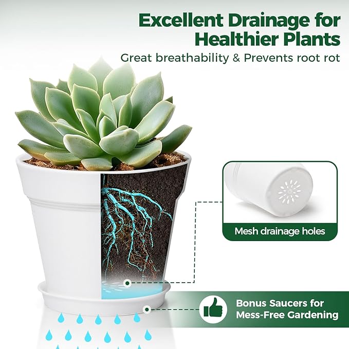 T4U 4 Inch Plant Pots 8-Pack, Small Flower Pots with Drainage Hole and Saucer, Decorative Nursery Pot Bulk for African Violet, Snake Plant, Succulent, Herb and Plants Indoor (8 Pcs 4" Pots, White)