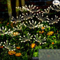 Kwaiffeo Solar Garden Lights Outdoor: Waterproof 2 Modes Twinkling Fireworks Light, Solar Lights for Outside Yard Pathway Garden Decor - Mothers Day Gardening Gifts for Women, Warm White -6Pack
